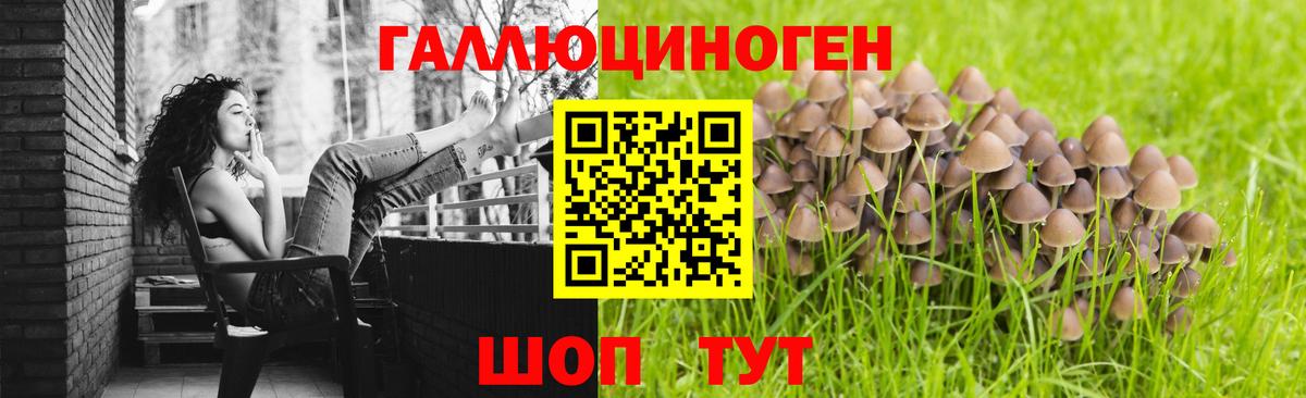 Кропоткин  Псилоцибиновые грибы Cubensis  Вход с VPN  Галлюциногенные грибы прущие грибы 