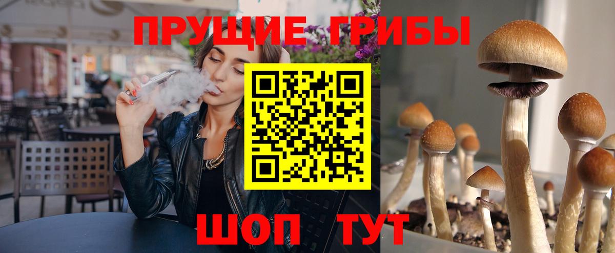 Псилоцибиновые грибы ЛСД Кропоткин