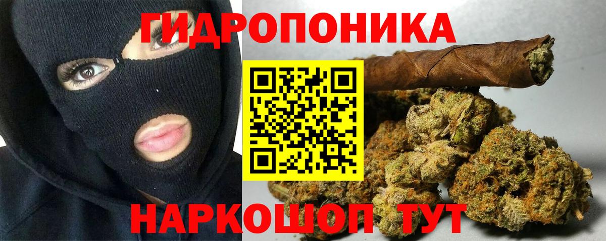Шишки марихуана OG Kush Кропоткин